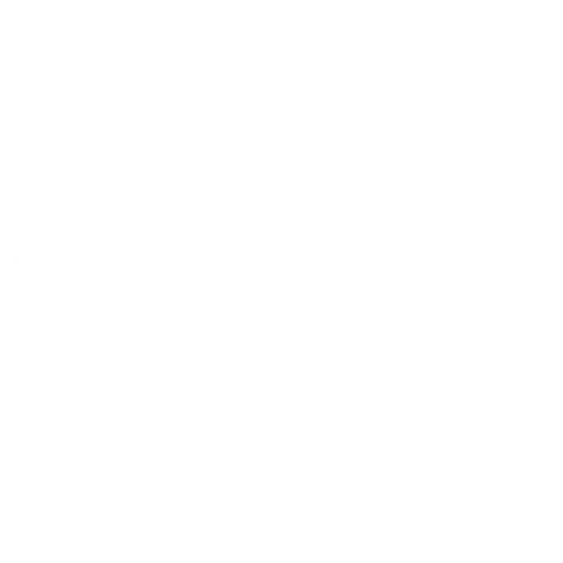 Amsterdam Rehber