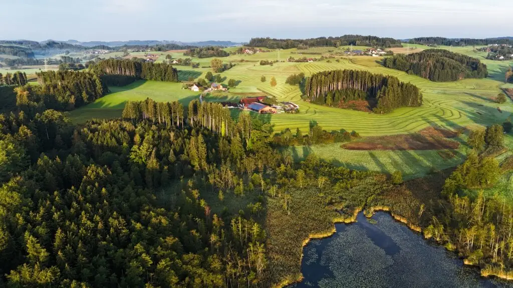 Baden-Württemberg Countryside with Green Fields and Forests