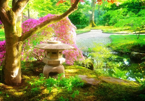 japanese garden in The Hague japanese garden in The Hague